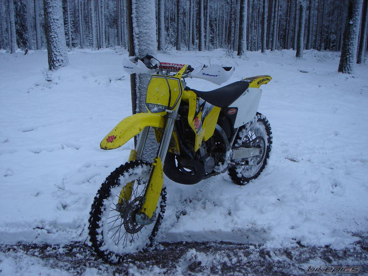 2003 SUZUKI RM 250 | Picture 475592 motorcycle photo