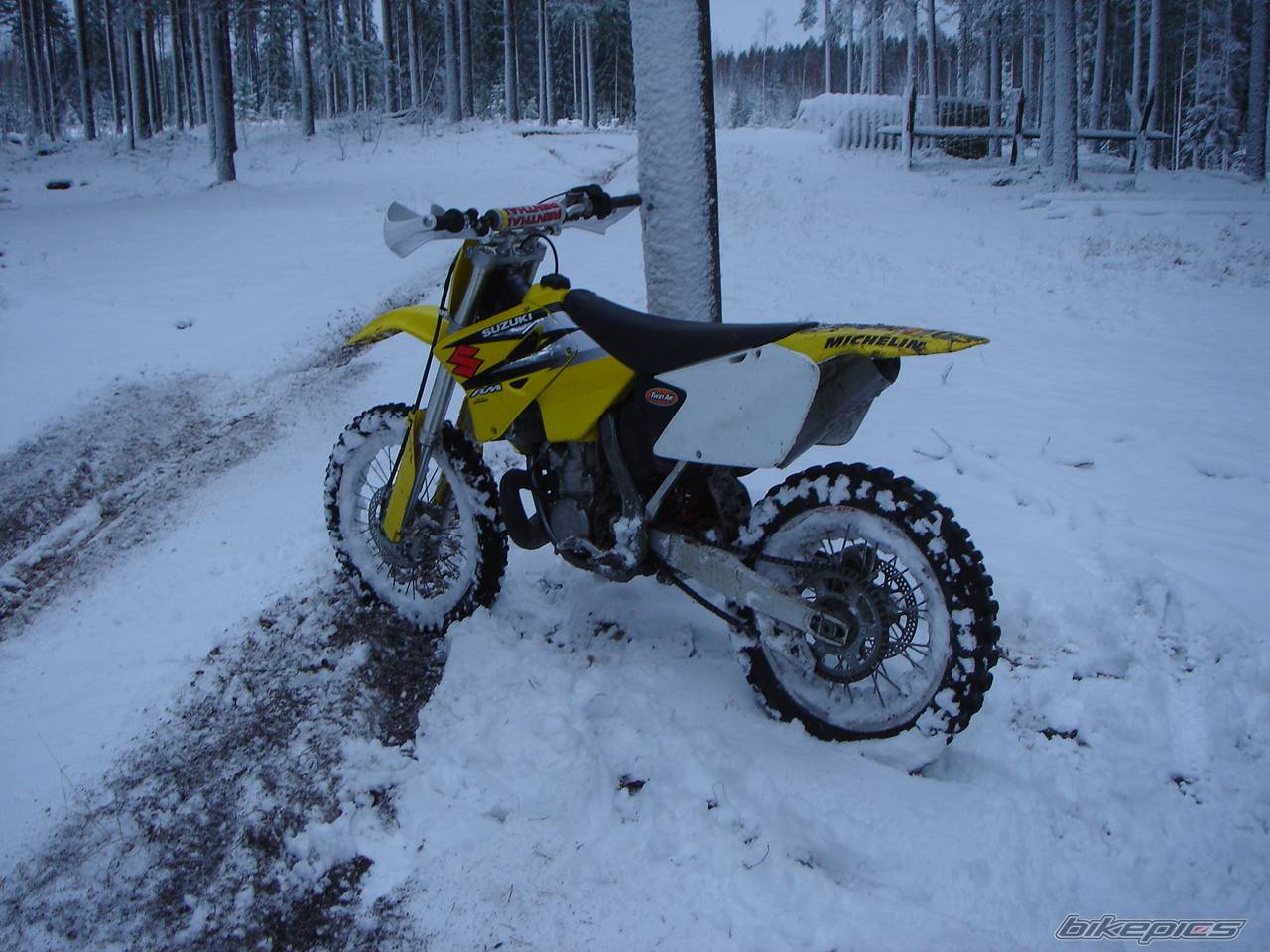 2003 SUZUKI RM 250 | Picture 475593 motorcycle photo