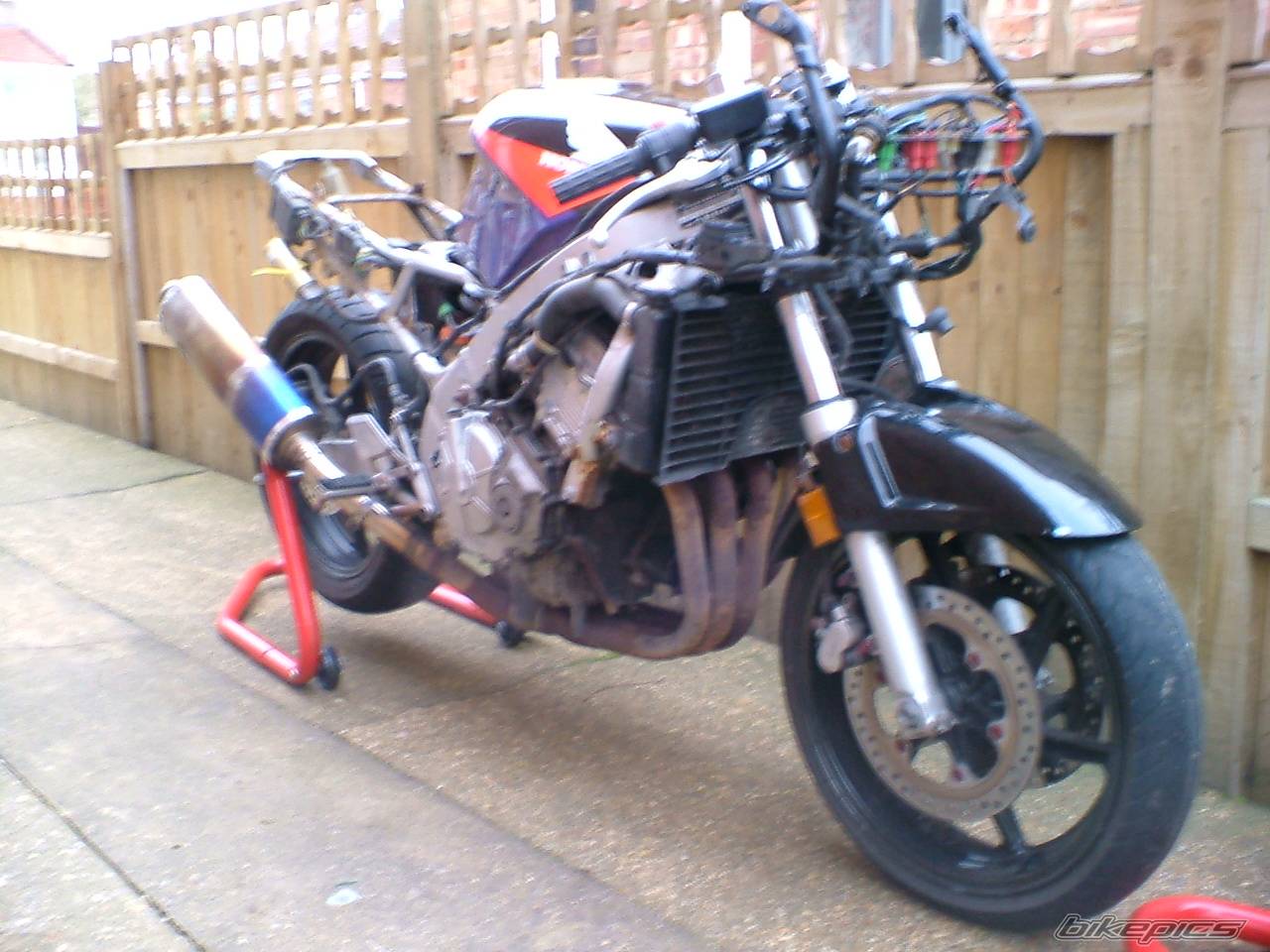 1994 HONDA CBR 600 | Picture 475845 motorcycle photo
