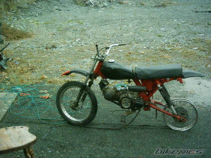 1983 HONDA XL 100 | Picture 475855 motorcycle photo