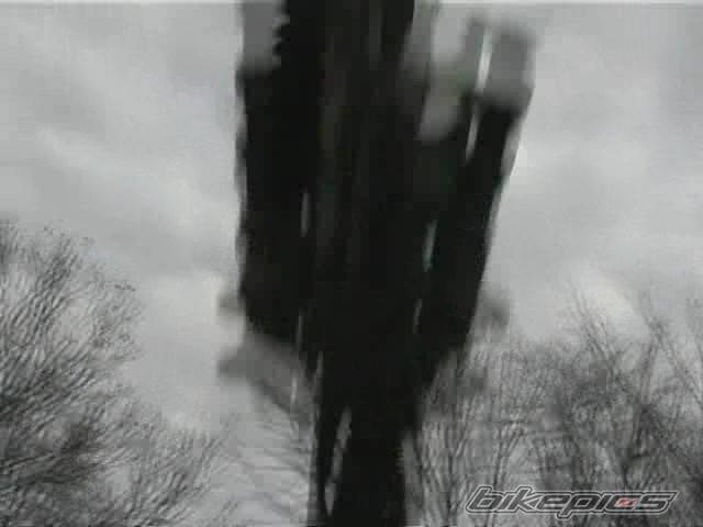 2003 KAWASAKI KX 85 | Picture 476348 motorcycle photo