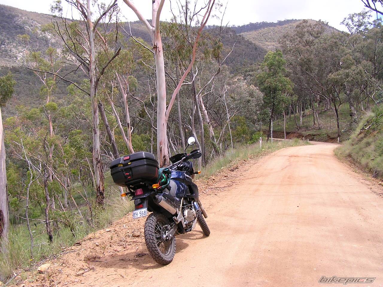 2006 KAWASAKI KLE 500 | Picture 476513 motorcycle photo