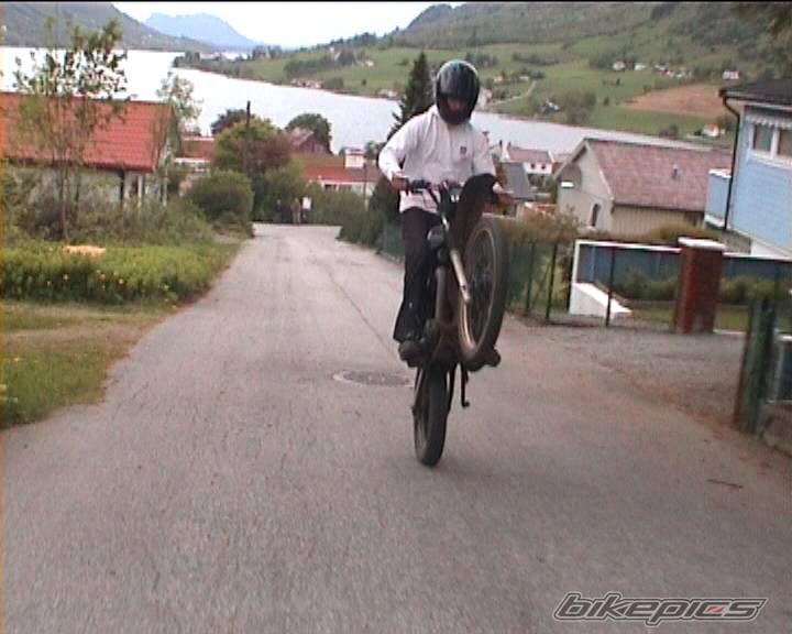 1993 SUZUKI TS 50 | Picture 47847 motorcycle photo