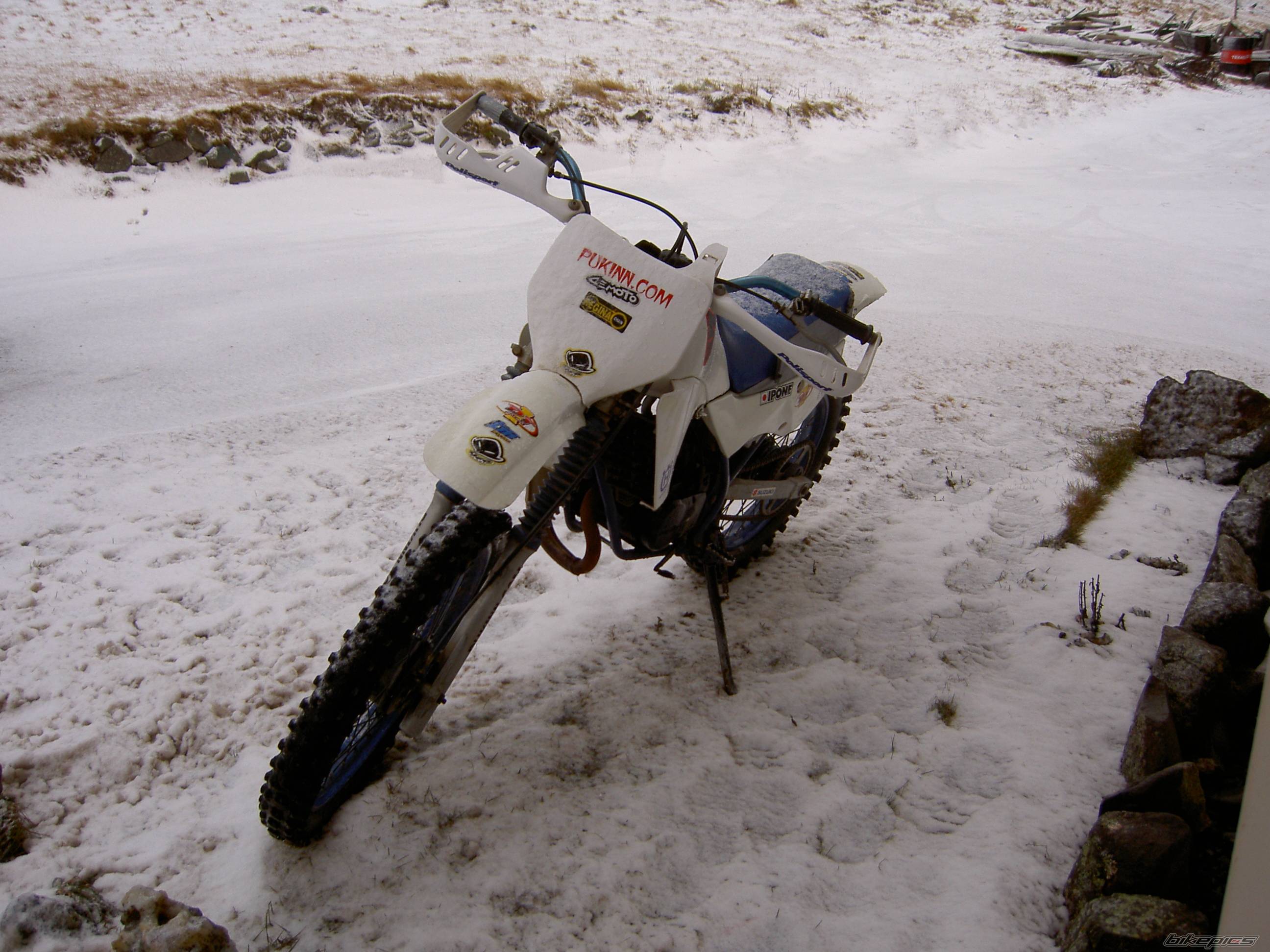 1990 SUZUKI TS 50 | Picture 478914 motorcycle photo