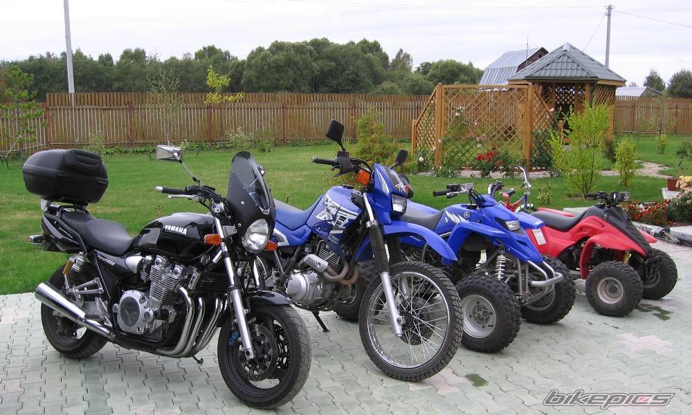 2001 YAMAHA XJR 1300 | Picture 479108 motorcycle photo