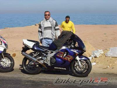 1999 HONDA CBR 900 | Picture 479202 motorcycle photo
