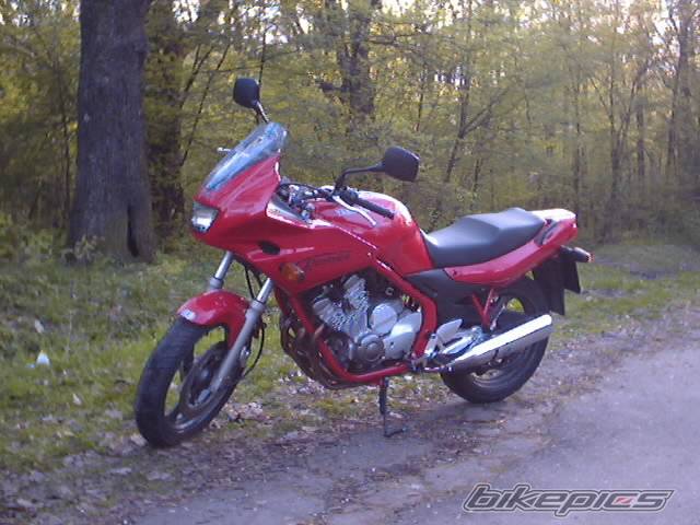 1997 YAMAHA XJ 600 | Picture 47927 motorcycle photo