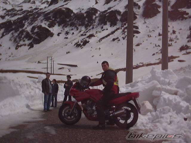 1997 YAMAHA XJ 600 | Picture 47931 motorcycle photo
