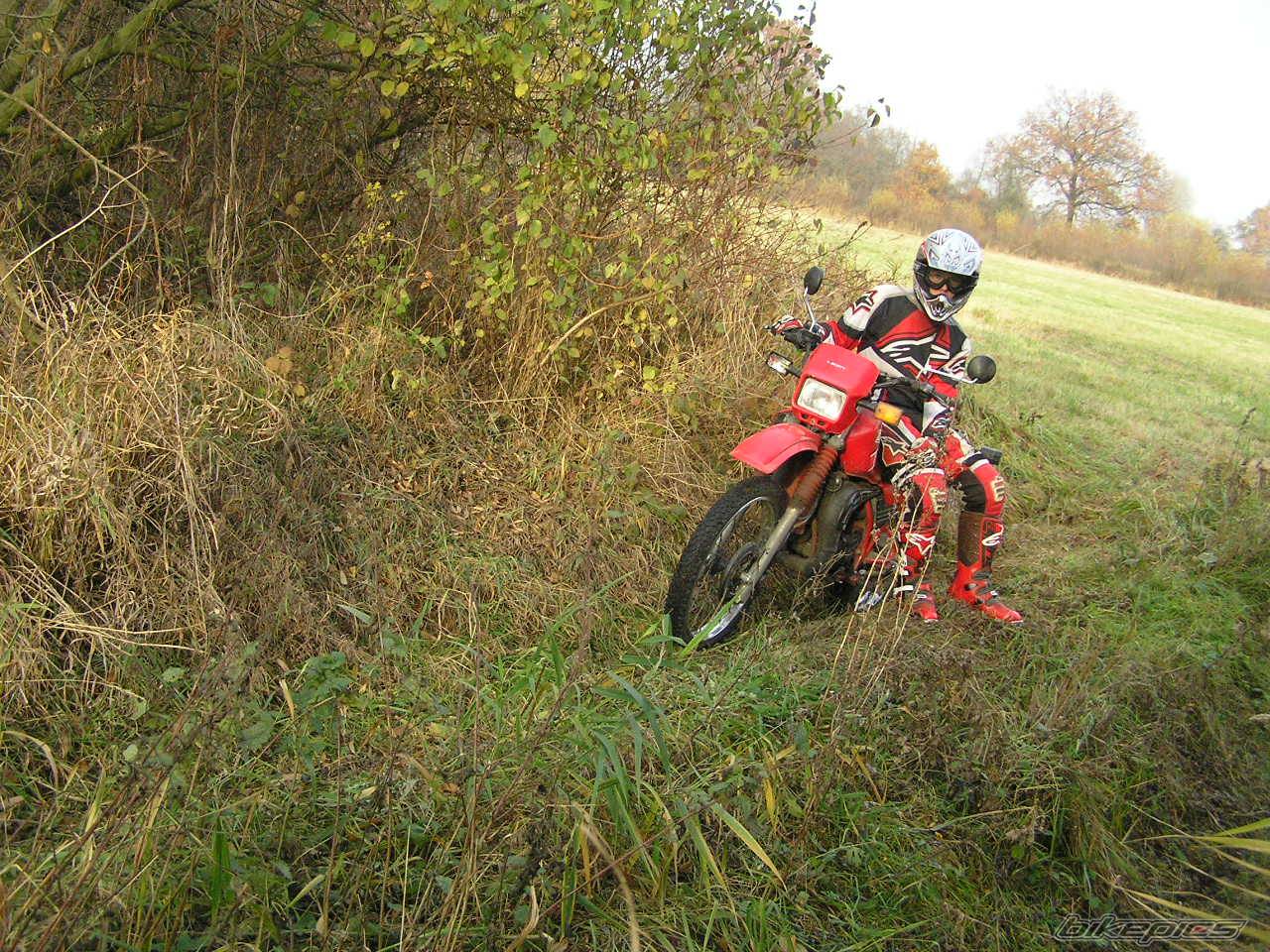 1995 YAMAHA DT 80 | Picture 479611 motorcycle photo