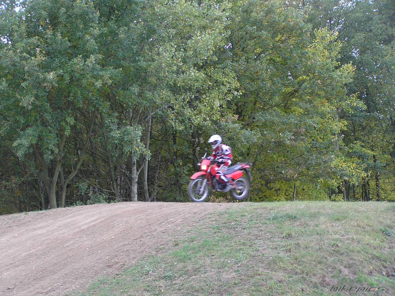 1995 YAMAHA DT 80 | Picture 479618 motorcycle photo