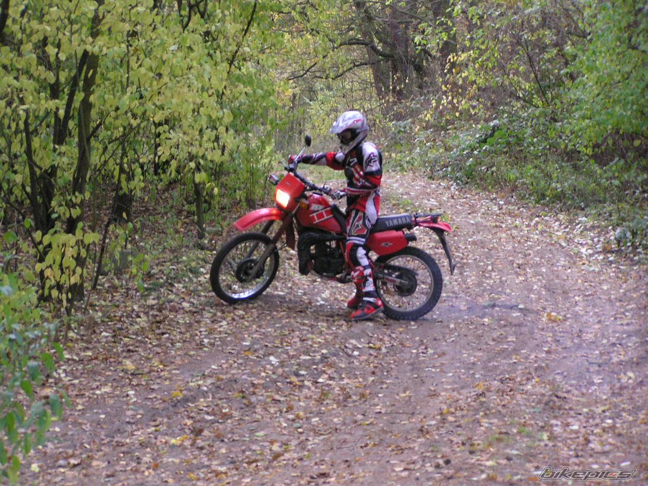 1995 YAMAHA DT 80 | Picture 479621 motorcycle photo