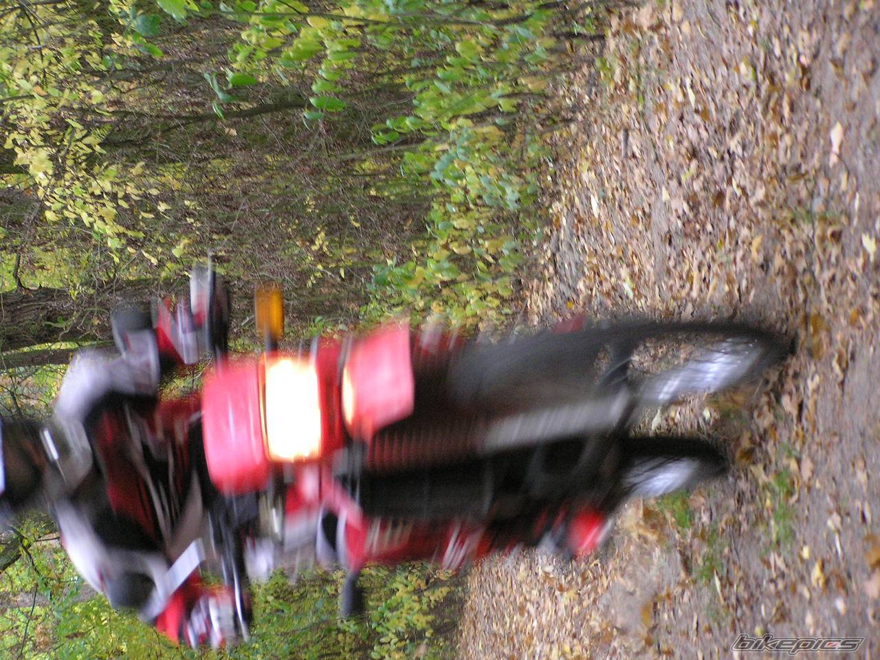 1995 YAMAHA DT 80 | Picture 479623 motorcycle photo