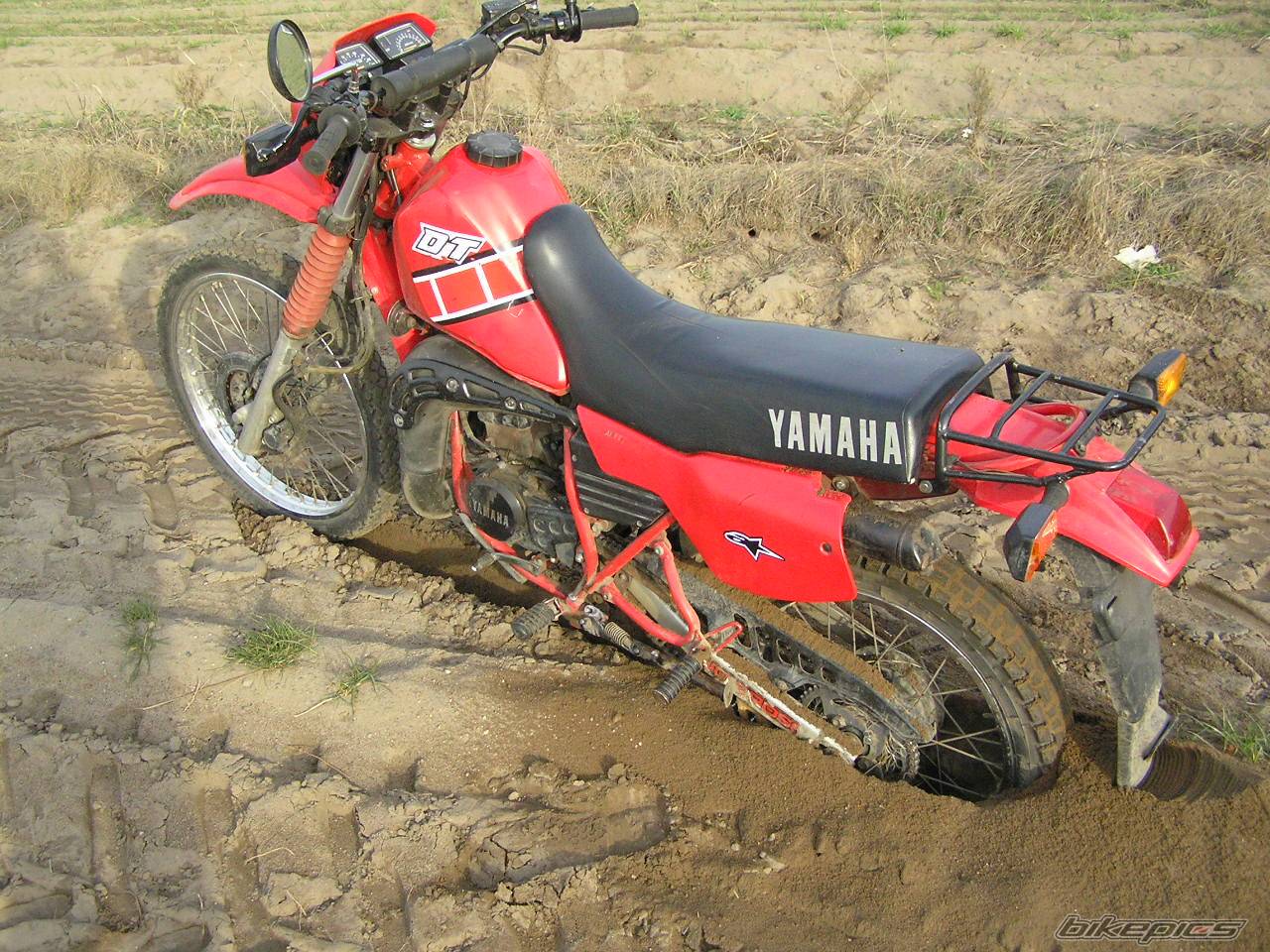 1995 YAMAHA DT 80 | Picture 479640 motorcycle photo