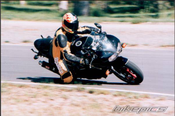 1997  TL1000S | Picture 48 motorcycle photo