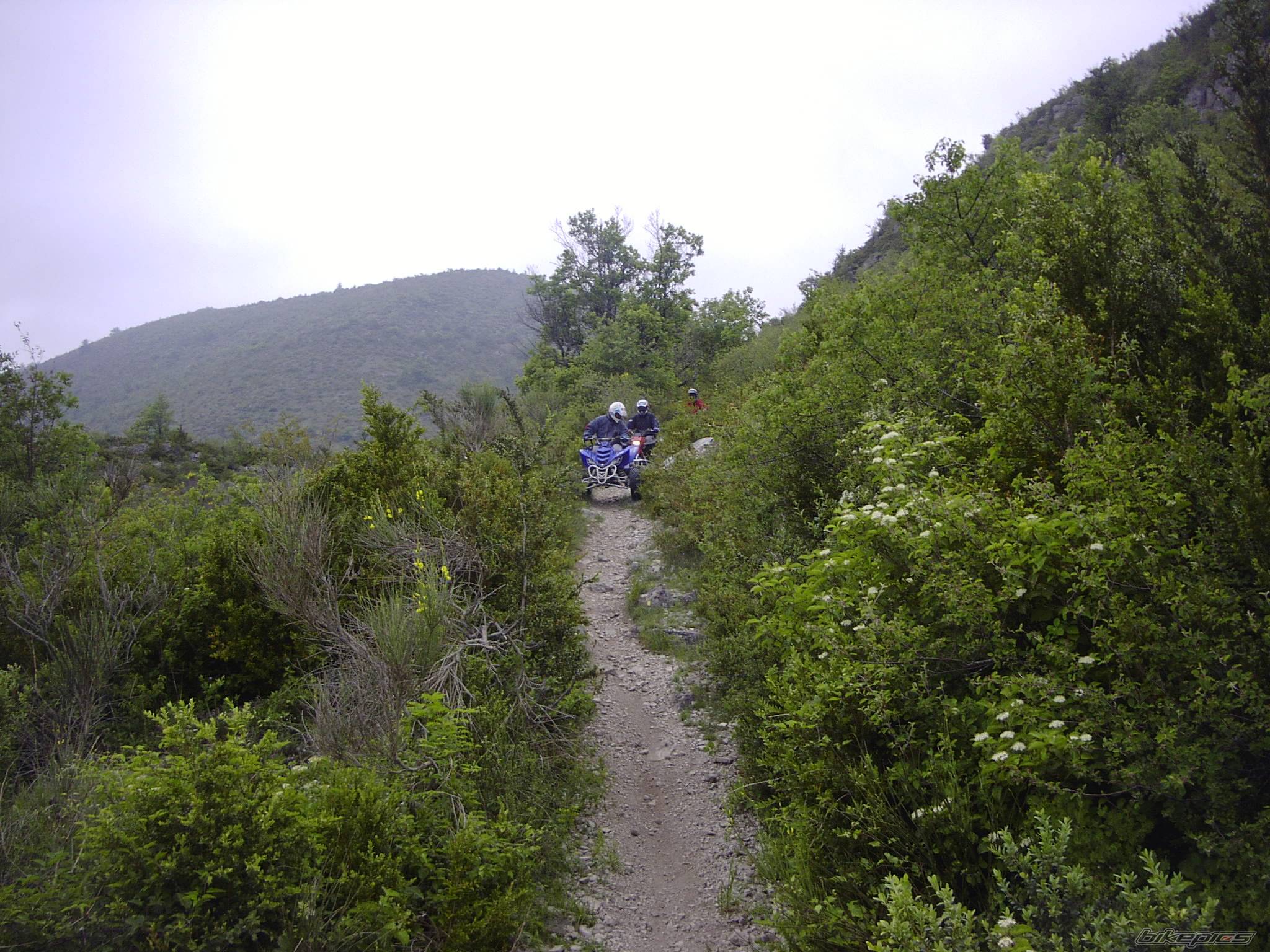 2002 YAMAHA RAPTOR YFM 660 | Picture 48000 motorcycle photo