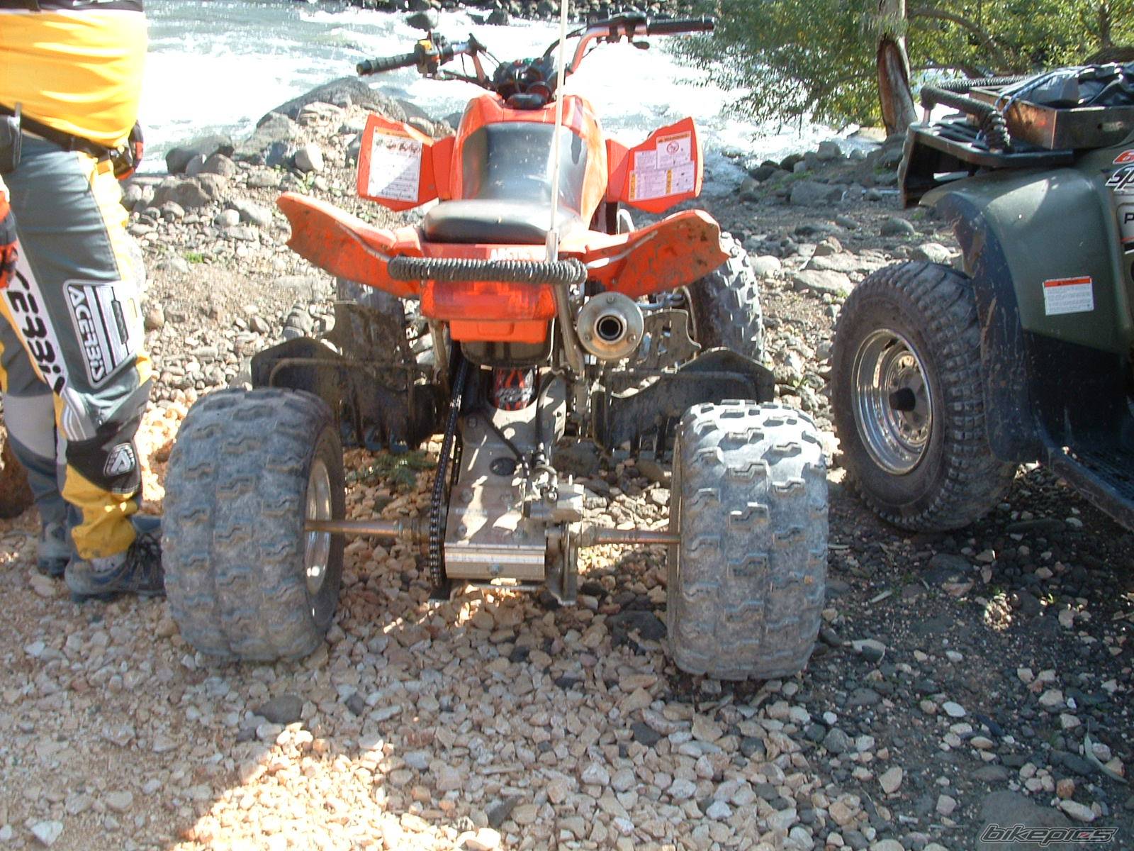 2006 ARCTIC CAT SPORT CAT DVX 400 | Picture 480075 motorcycle photo