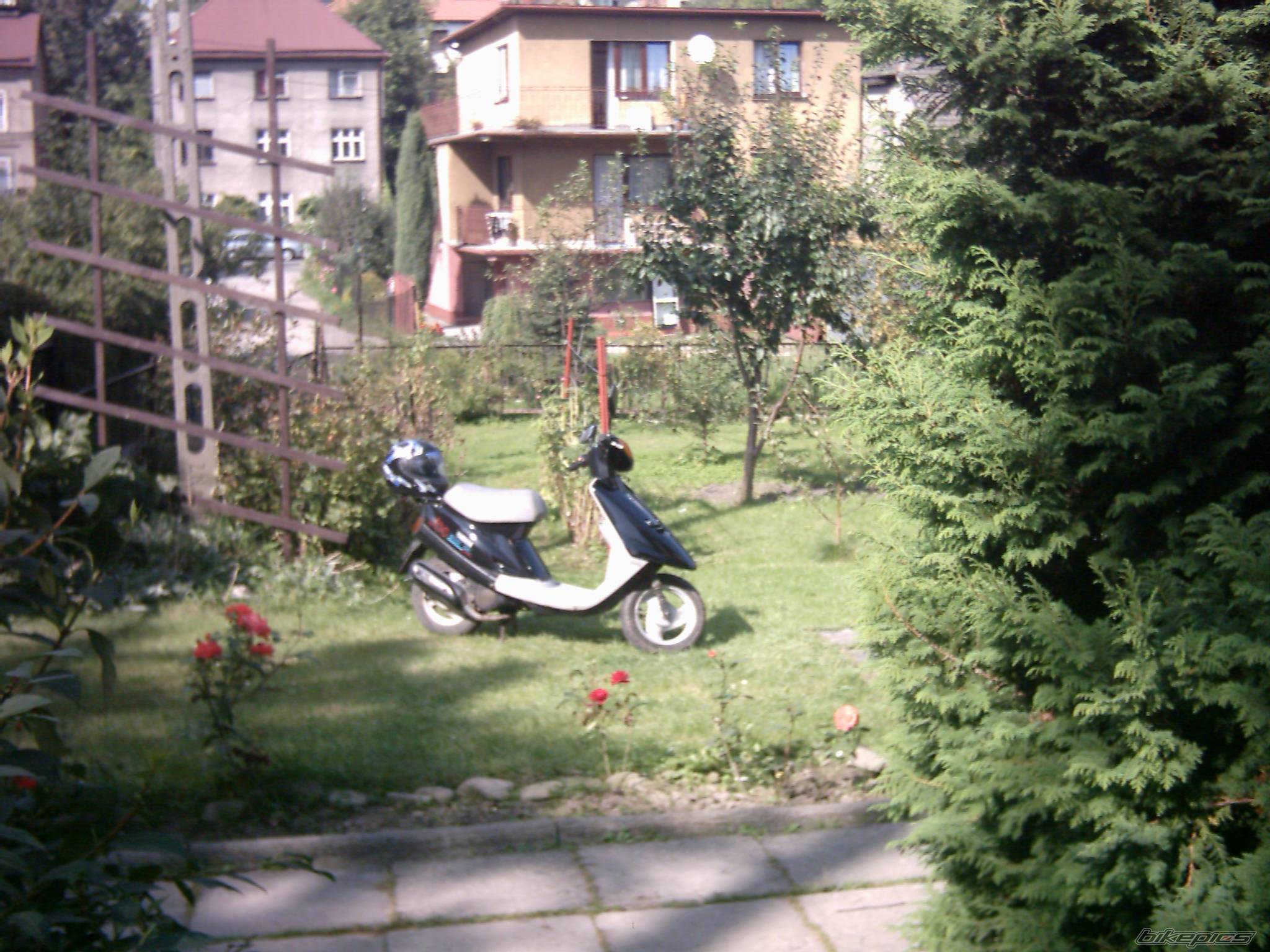 1989 YAMAHA JOG | Picture 480106 motorcycle photo