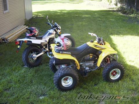 2004 YAMAHA TW 200 | Picture 481020 motorcycle photo