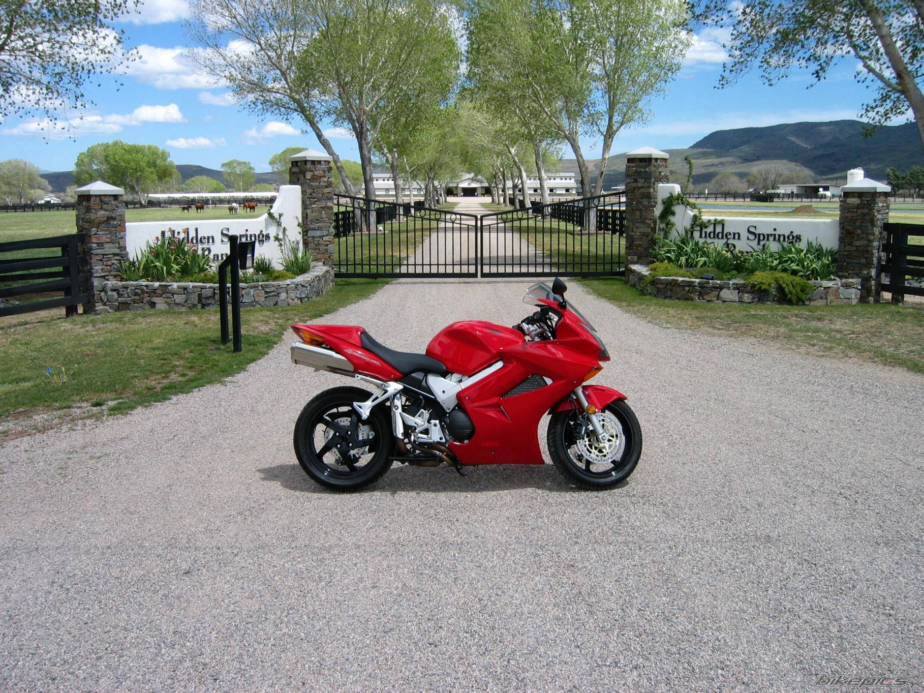 2002 HONDA VFR 800 | Picture 48118 motorcycle photo