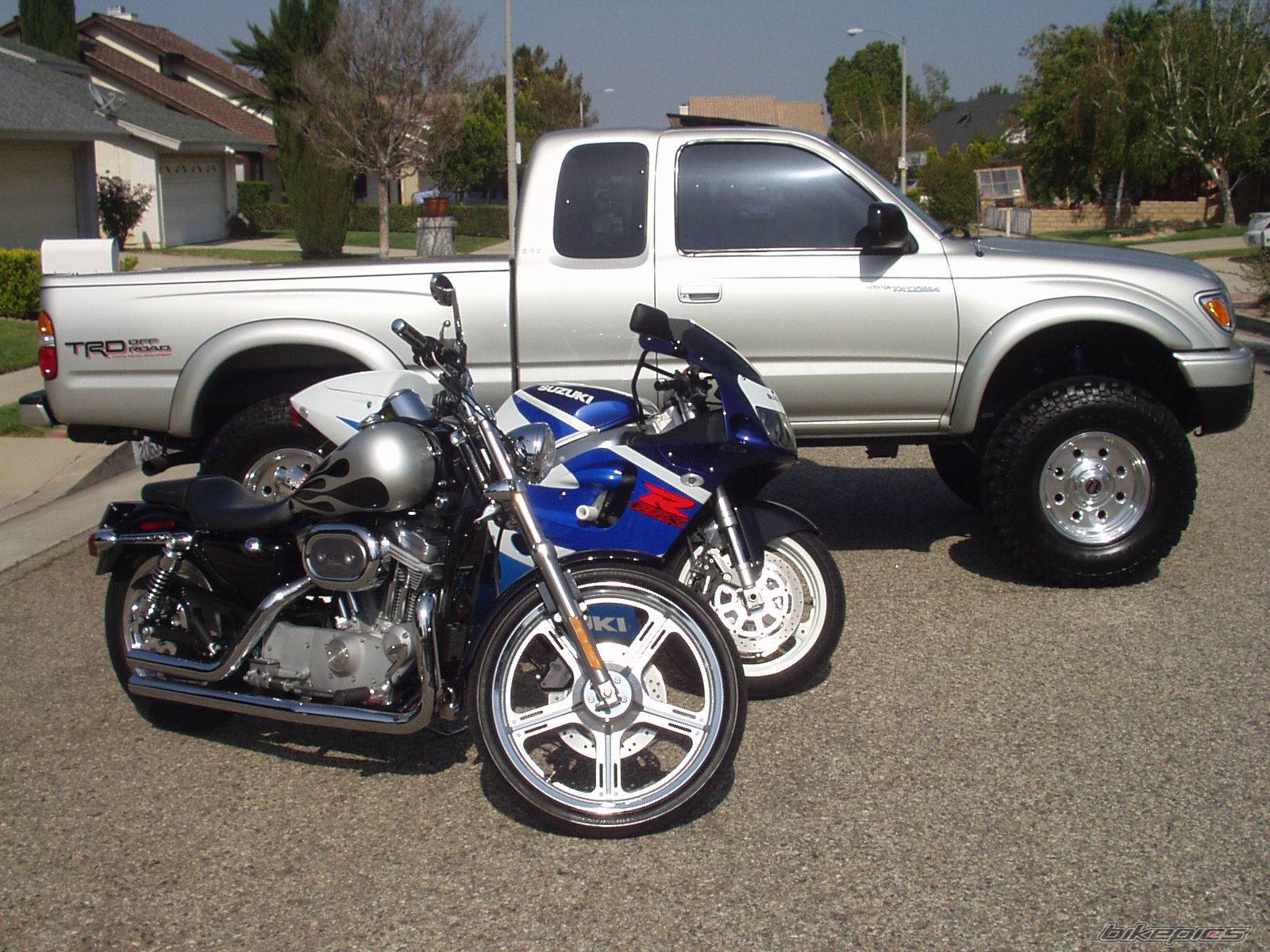 2002 HARLEY DAVIDSON XL 883C | Picture 48121 motorcycle photo