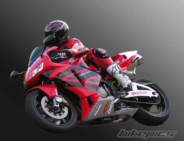 2003 HONDA CBR 600 | Picture 481716 motorcycle photo