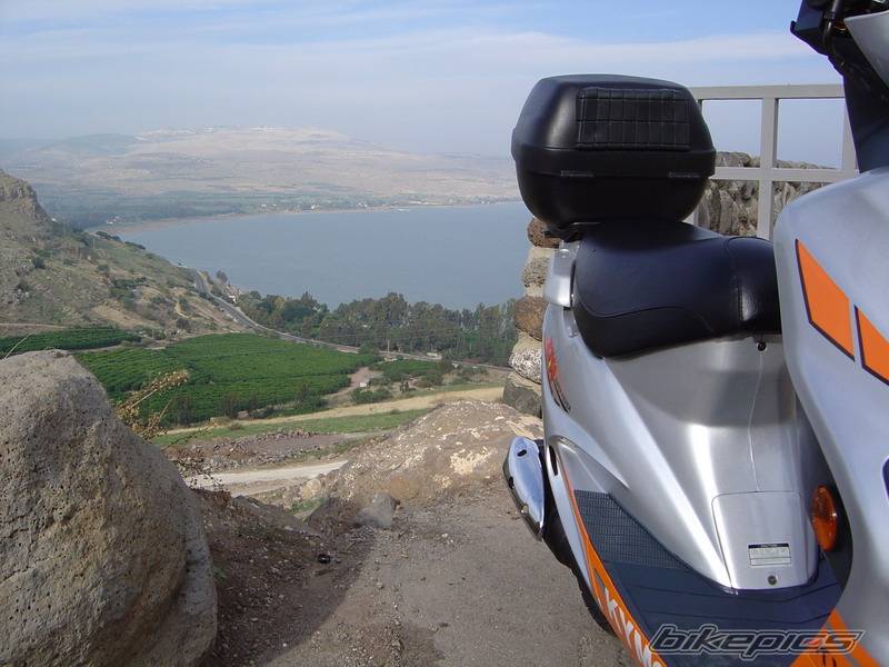 2006 KYMCO ZX 50 | Picture 481746 motorcycle photo