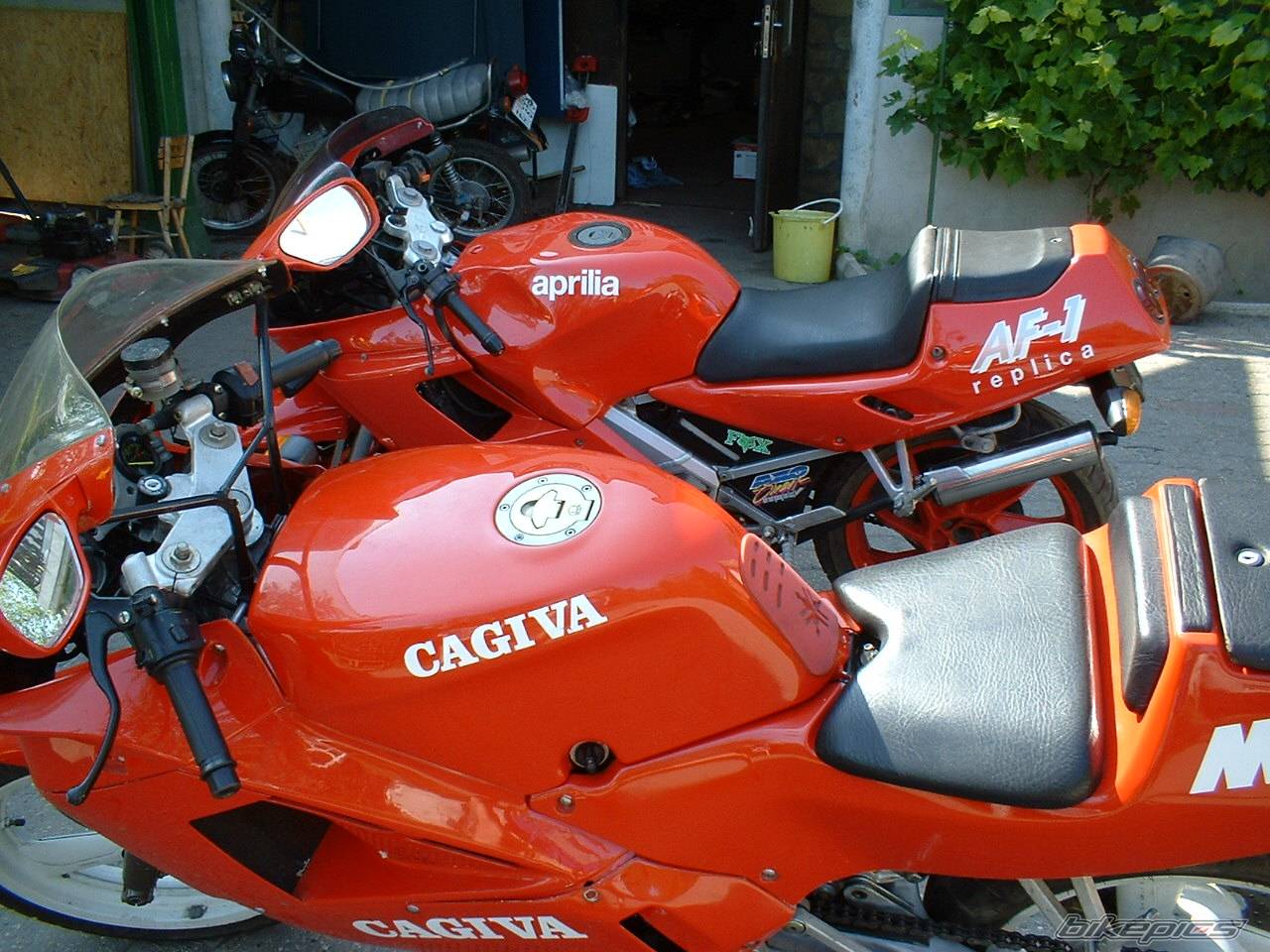 1990 APRILIA AF1 REPLICA 125 | Picture 48199 motorcycle photo