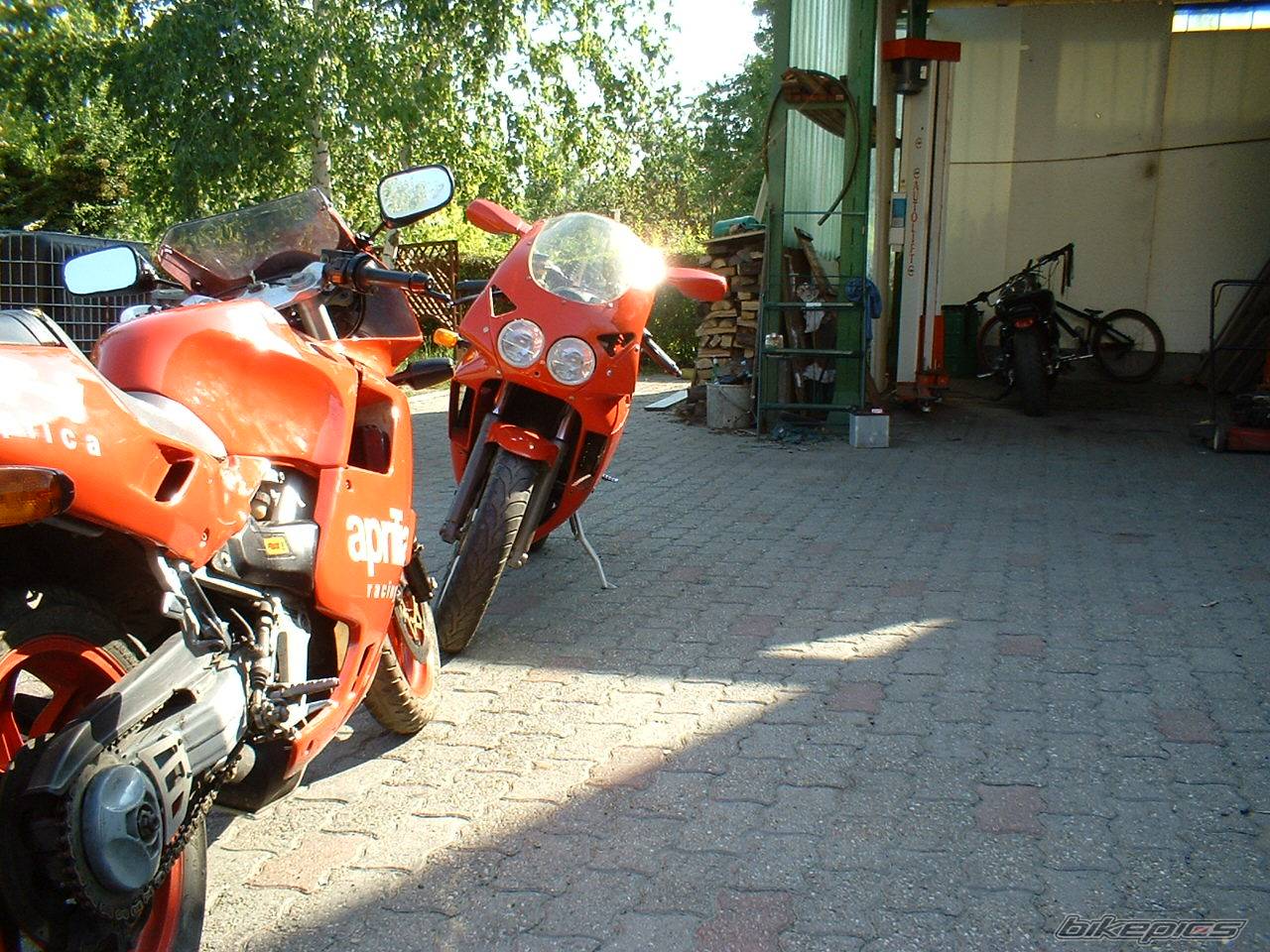 1990 APRILIA AF1 REPLICA 125 | Picture 48200 motorcycle photo
