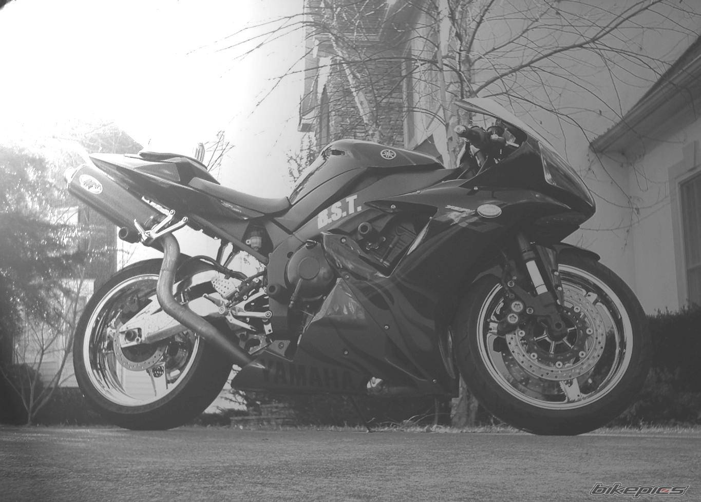 2003 YAMAHA YZF R1 | Picture 482036 motorcycle photo