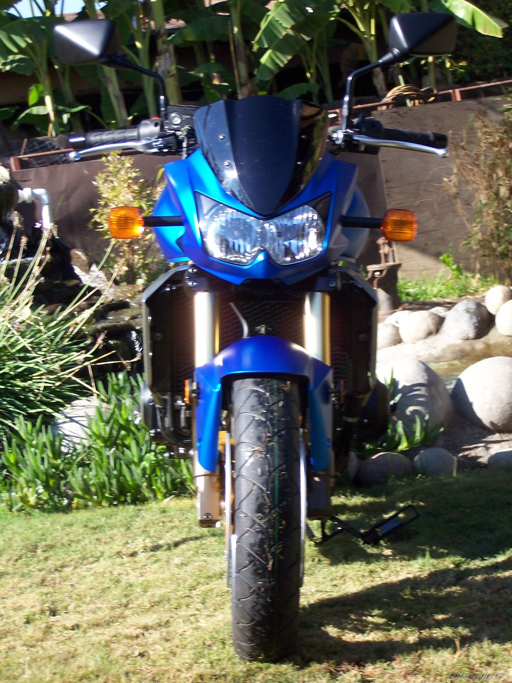 2006 KAWASAKI Z 1000 | Picture 482164 motorcycle photo
