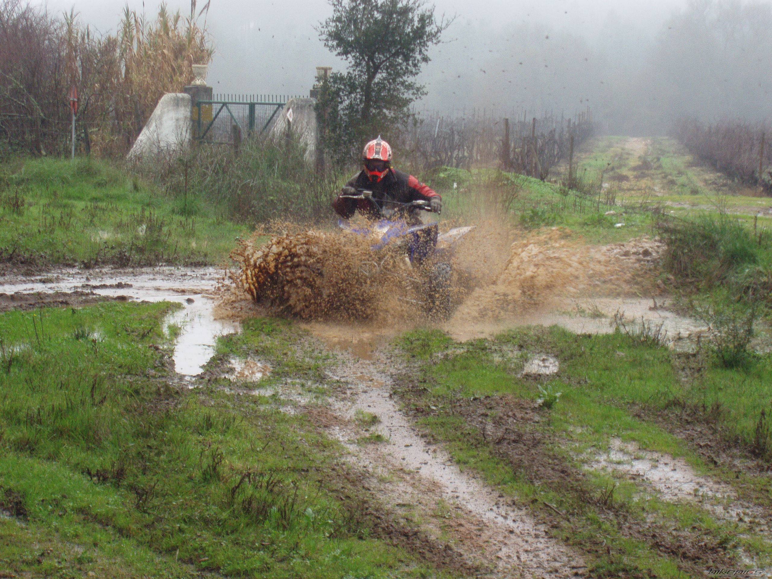 2006 YAMAHA RAPTOR YFZ 450 | Picture 482232 motorcycle photo