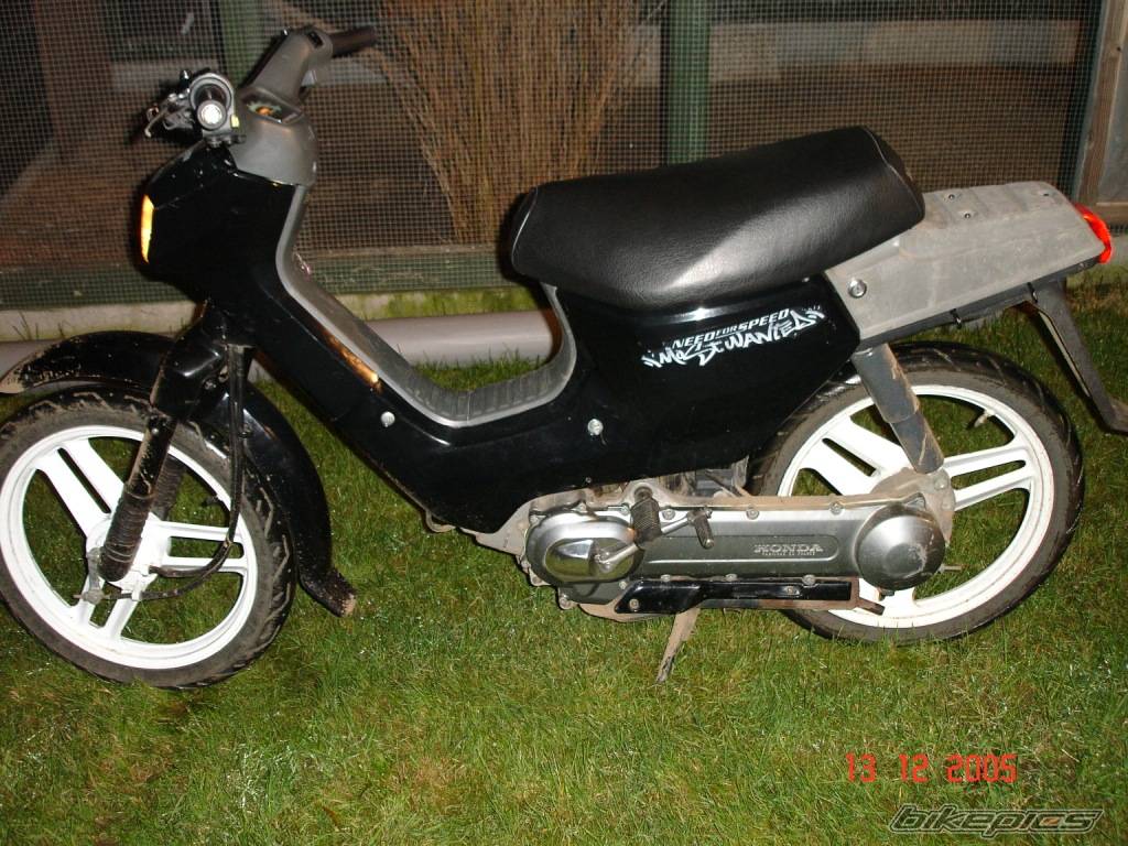 1999 HONDA WALLAROO | Picture 482489 motorcycle photo