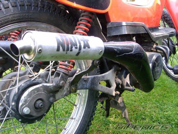 2004 YAMAHA SG 50 STING | Picture 482742 motorcycle photo