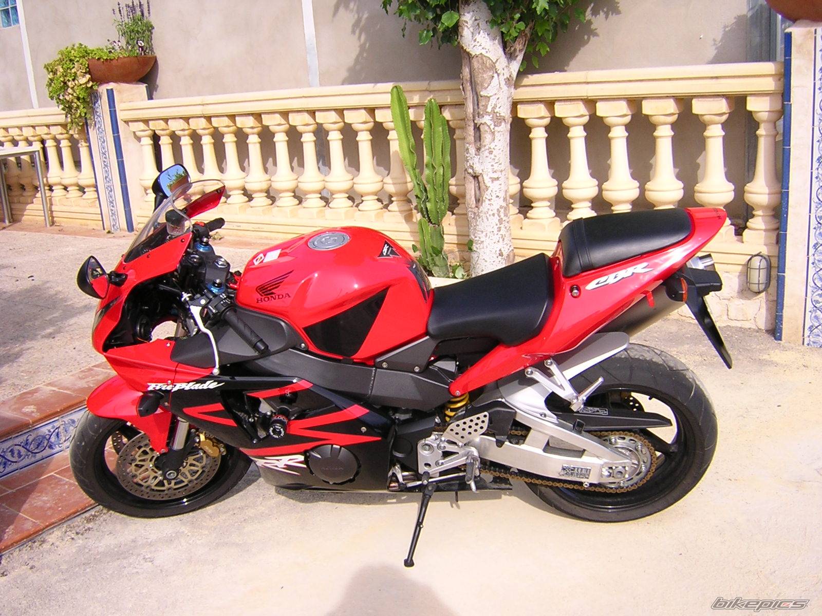 2003 HONDA CBR 900 | Picture 482782 motorcycle photo