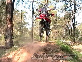 2003 HONDA XR 250 | Picture 48387 motorcycle photo