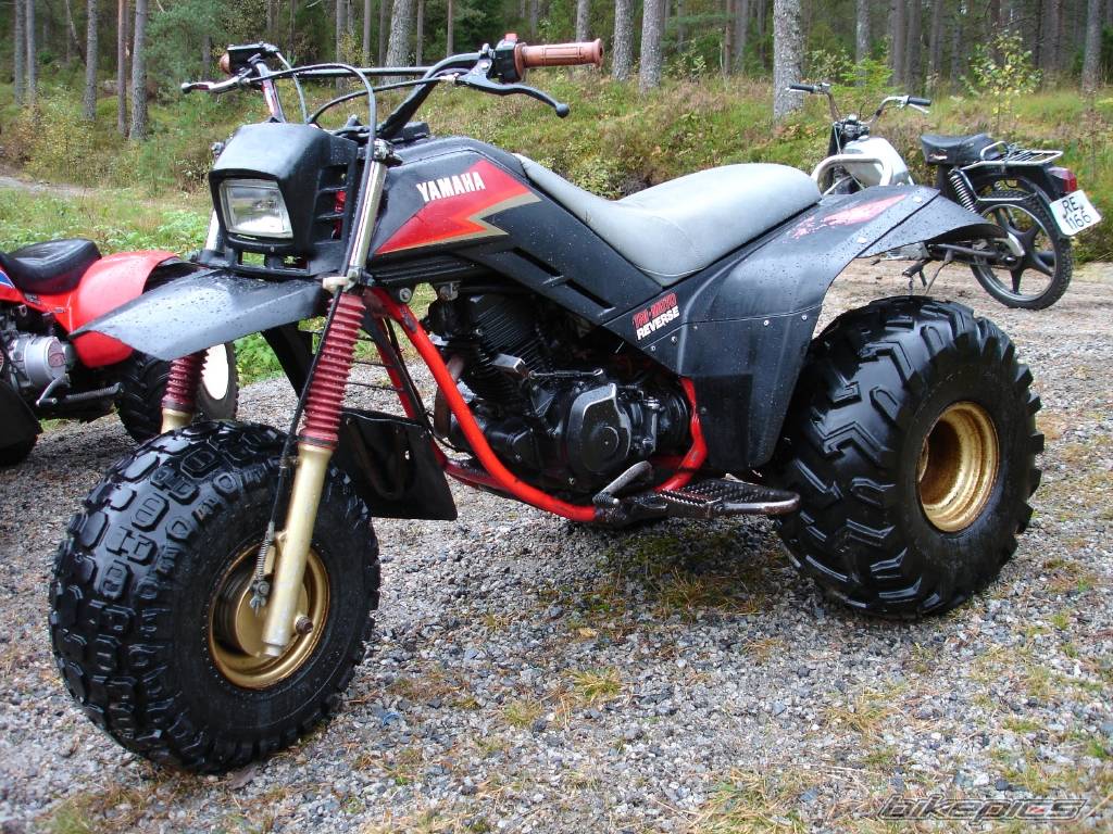 1984 YAMAHA YTM 225 | Picture 483879 motorcycle photo