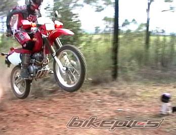2003 HONDA XR 250 | Picture 48388 motorcycle photo