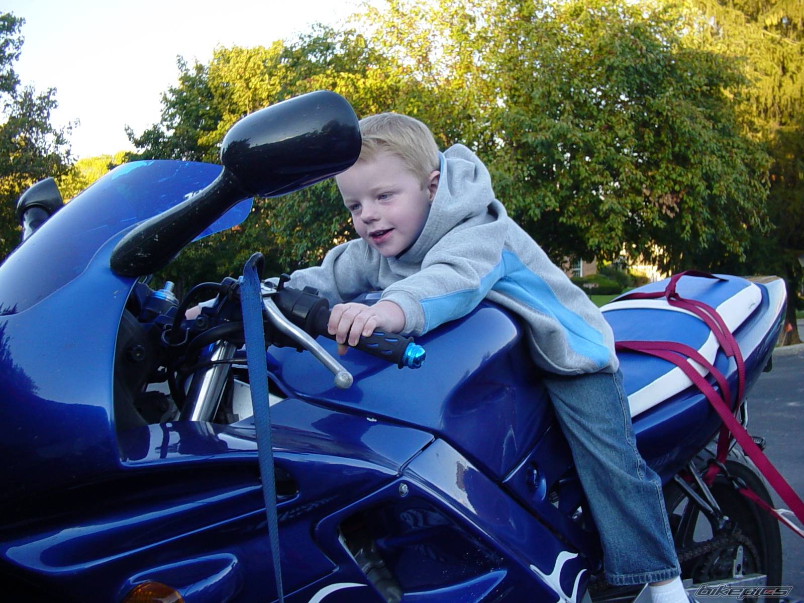 1993 HONDA CBR 600 | Picture 484486 motorcycle photo