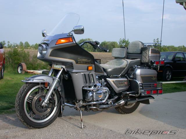 1982 HONDA GOLDWING | Picture 48476 motorcycle photo
