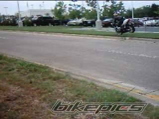 2002 SUZUKI GSX R 600 | Picture 48518 motorcycle photo