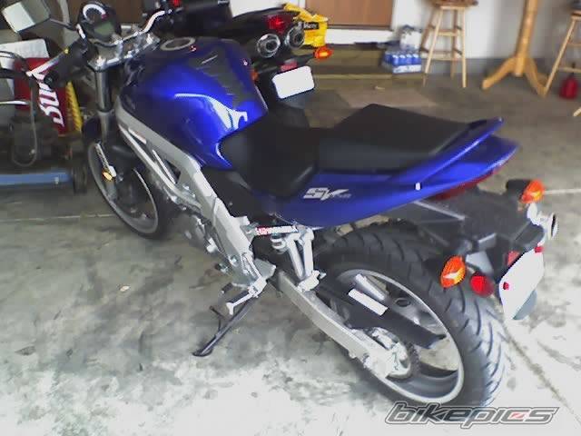 2004 SUZUKI SV 650 | Picture 485319 motorcycle photo