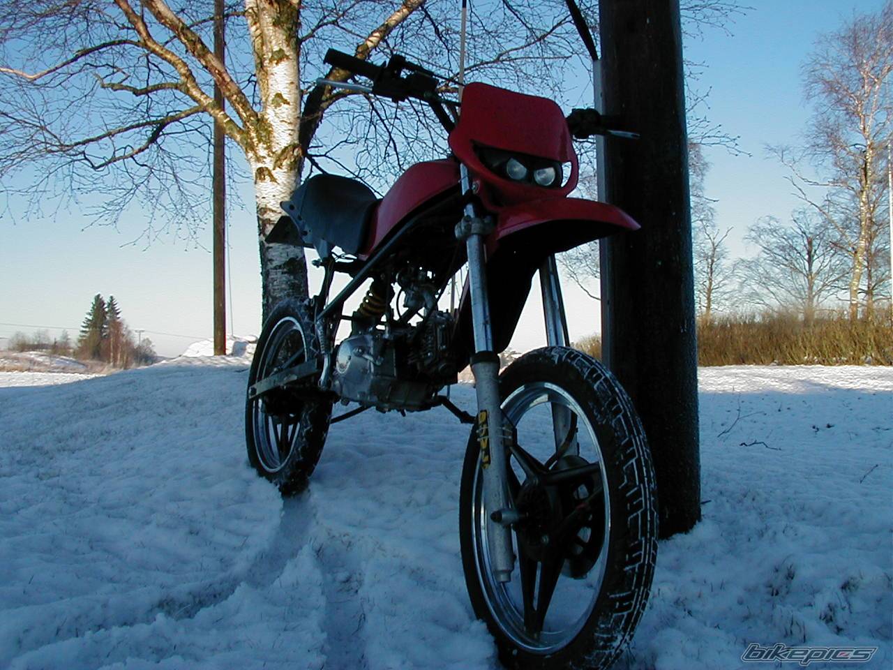 1991 HONDA MT5 | Picture 485926 motorcycle photo