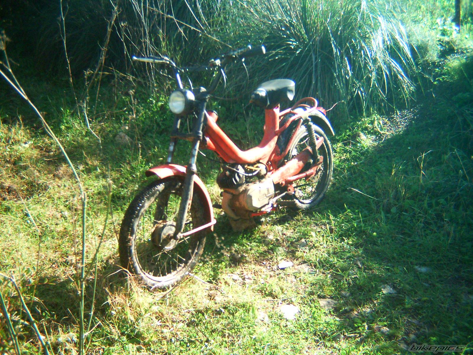 1977 RIZZATO CALIFO | Picture 486116 motorcycle photo