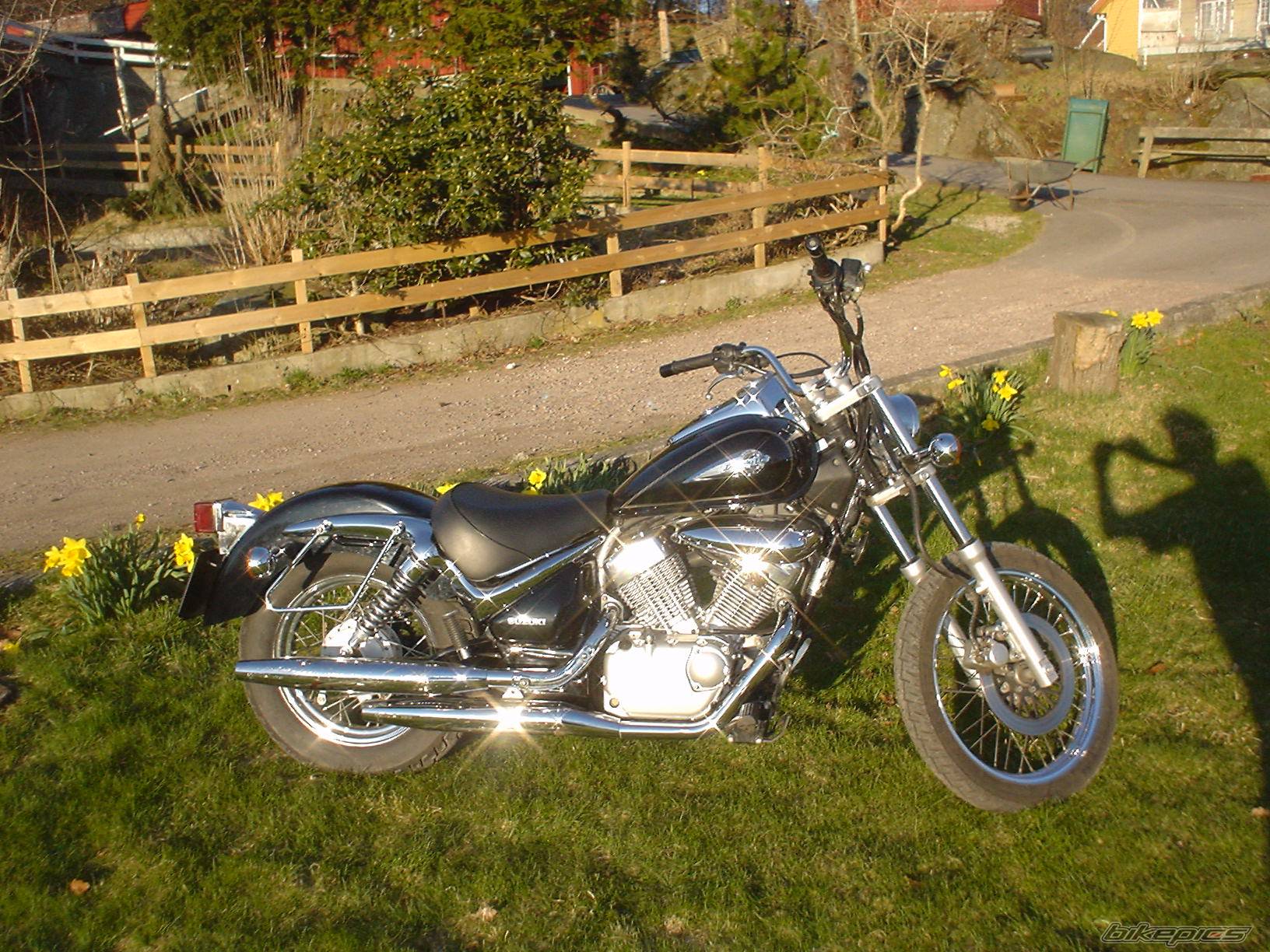 1999 SUZUKI INTRUDER 125 | Picture 486494 motorcycle photo