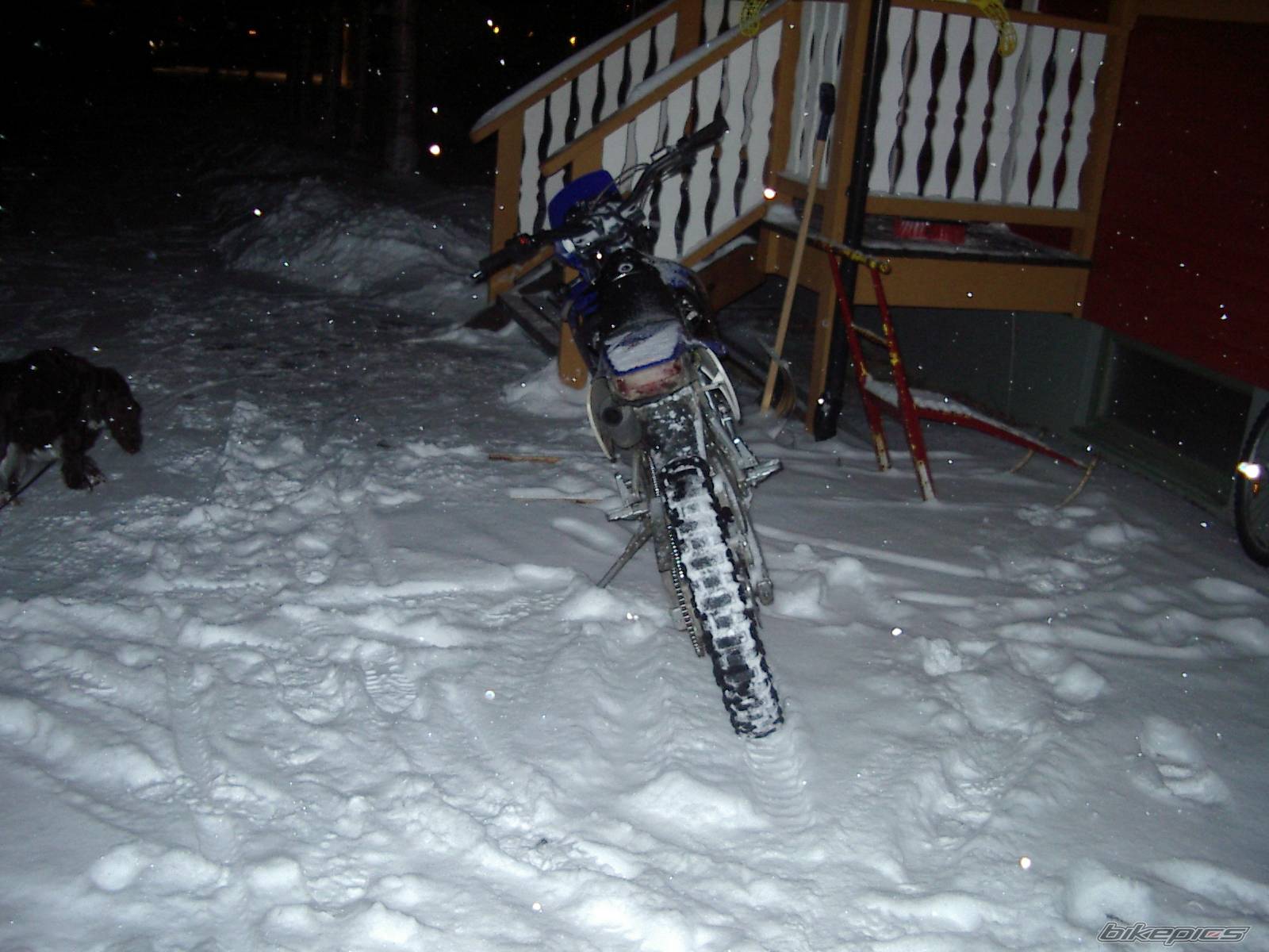 2005 DERBI SENDA XRACE SM 50 | Picture 486643 motorcycle photo