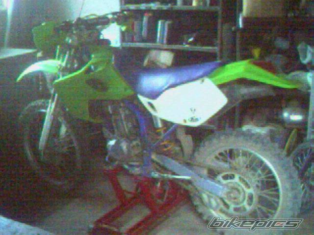 1995 KAWASAKI KLX 250 | Picture 486989 motorcycle photo