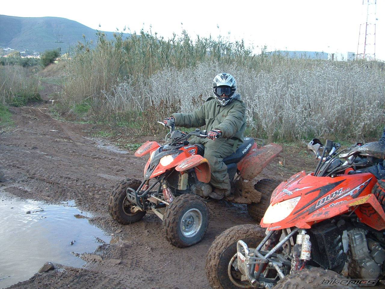 2006 POLARIS PREDATOR 500 | Picture 487784 motorcycle photo