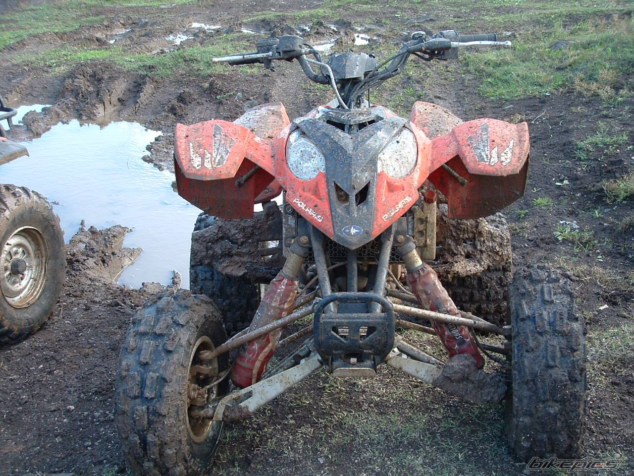 2006 POLARIS PREDATOR 500 | Picture 487786 motorcycle photo