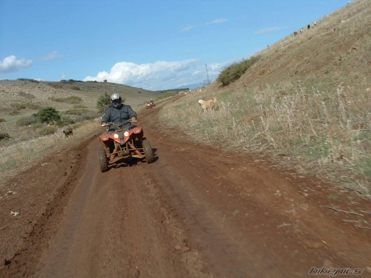 2006 POLARIS PREDATOR 500 | Picture 487787 motorcycle photo