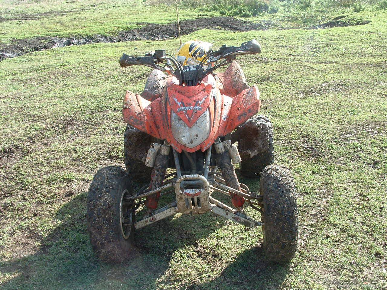 2006 ARCTIC CAT SPORT CAT DVX 400 | Picture 487801 motorcycle photo